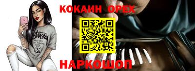 сатива Будённовск