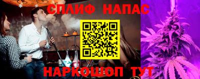 сатива Будённовск